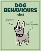 Download this behaviour image for alert