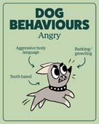 Download this behaviour image for angry