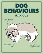 Download this behaviour image for anxious