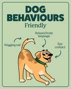 Download this behaviour image for friendly