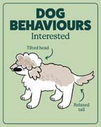 Download this behaviour image for interested