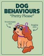 Download this behaviour image for pretty-please