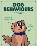 Download this behaviour image for stressed-2