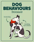 Download this behaviour image for stressed